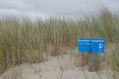 Kwetsbaar-Duingebied-Texel